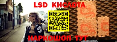 дмт Гусев