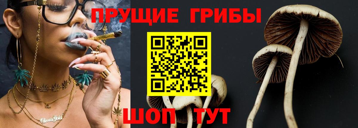 Псилоцибиновые грибы Psilocybe Мурино