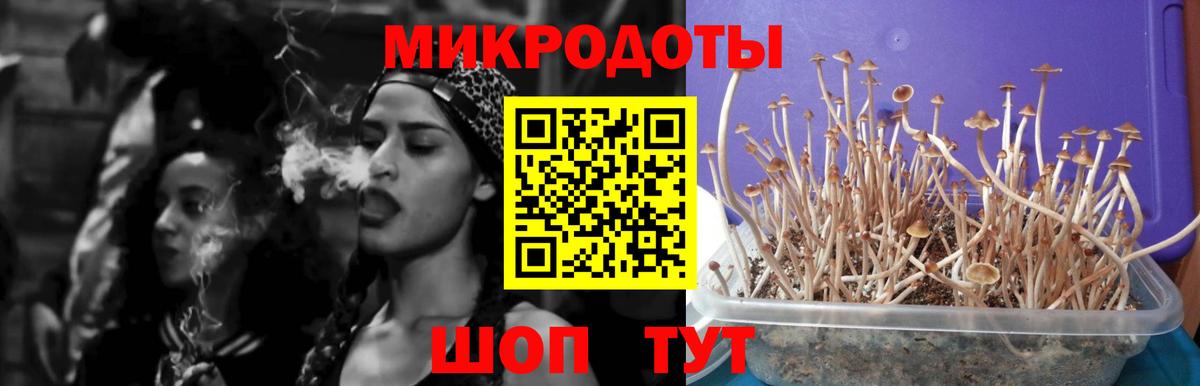 Псилоцибиновые грибы GOLDEN TEACHER  Вход с VPN  Псилоцибиновые грибы мицелий  Мурино 